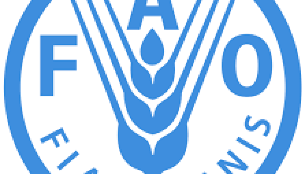 National Specialist to Assess National Food System Vacancy-Job Ref: JKRWFAO/0640/20230207