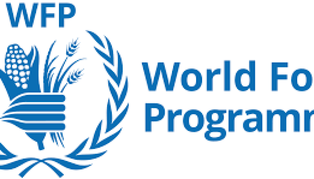 Programme Policy Officer VAM (Markets & Food Security Analysis) Vacancy-Job Ref: JKRWWFP/0412/2020104